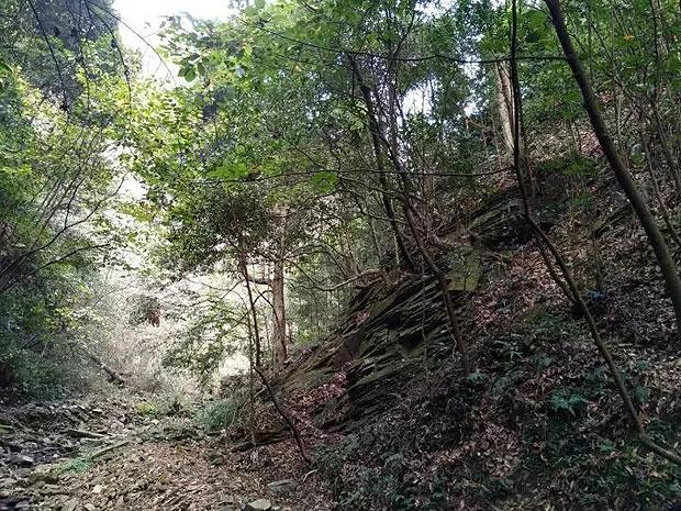 七彩虹隐星p1524发售，首发价格惊人